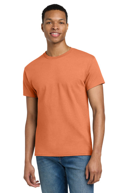 Gildan Ultra Cotton 100% US Cotton T-Shirt (2000)