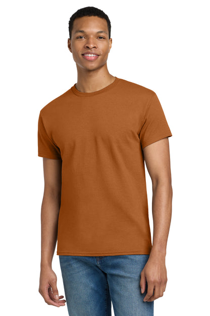 Gildan Ultra Cotton 100% US Cotton T-Shirt (2000)