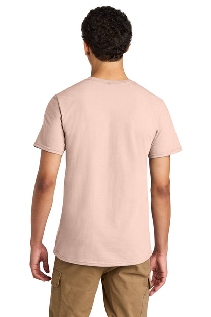 Blush Pink