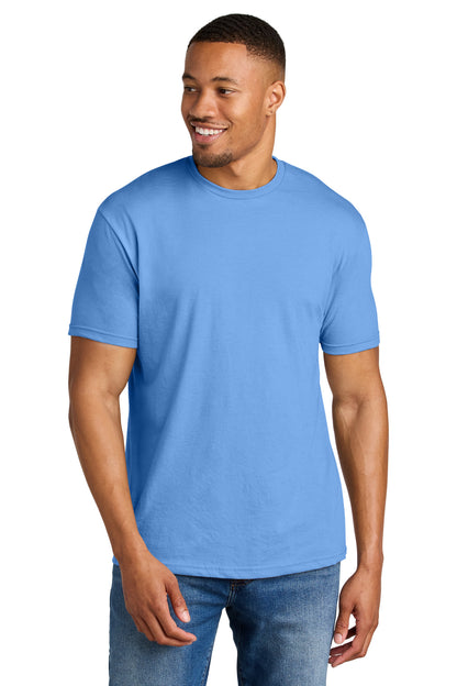 Carolina Blue Mist