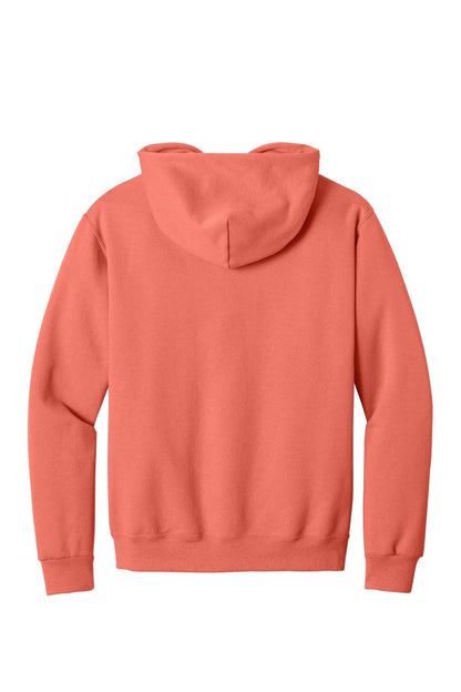 Sunset Coral