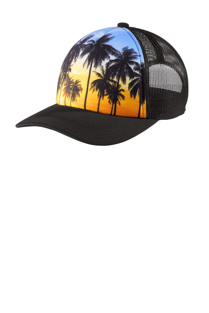 Palm Trees