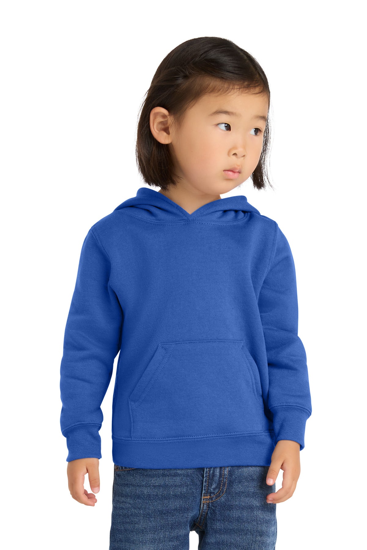 Port & Company Toddler Core Fleece Pullover Hooded Sweatshirt (CAR78TH)