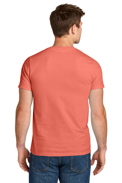 Sunset Coral
