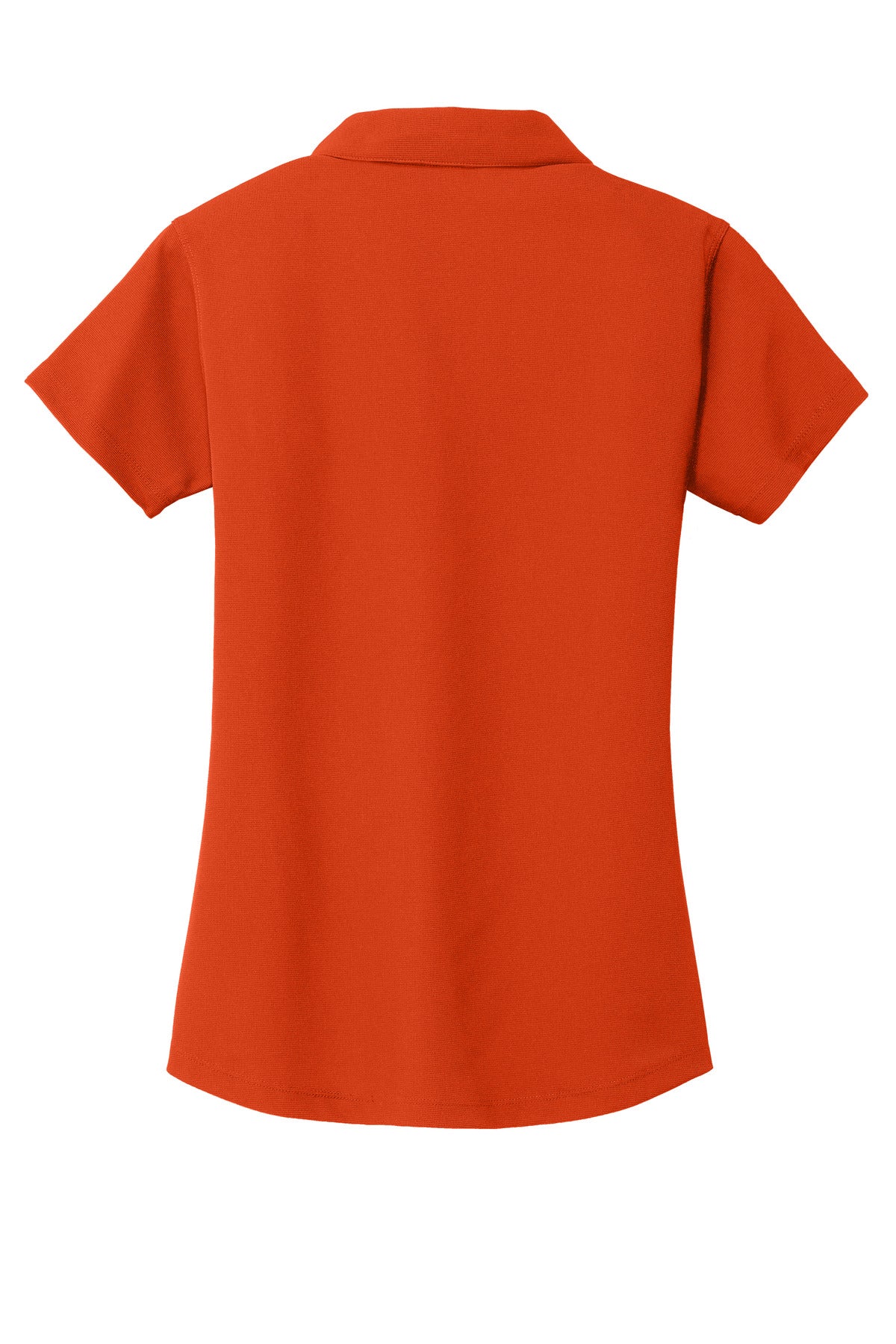 Autumn Orange