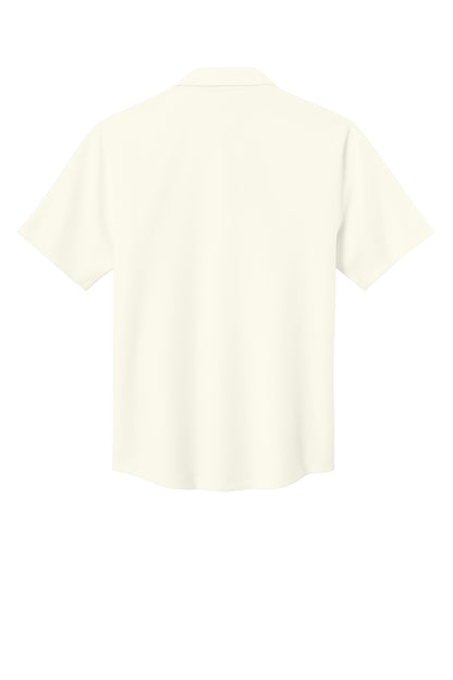 Ivory Chiffon