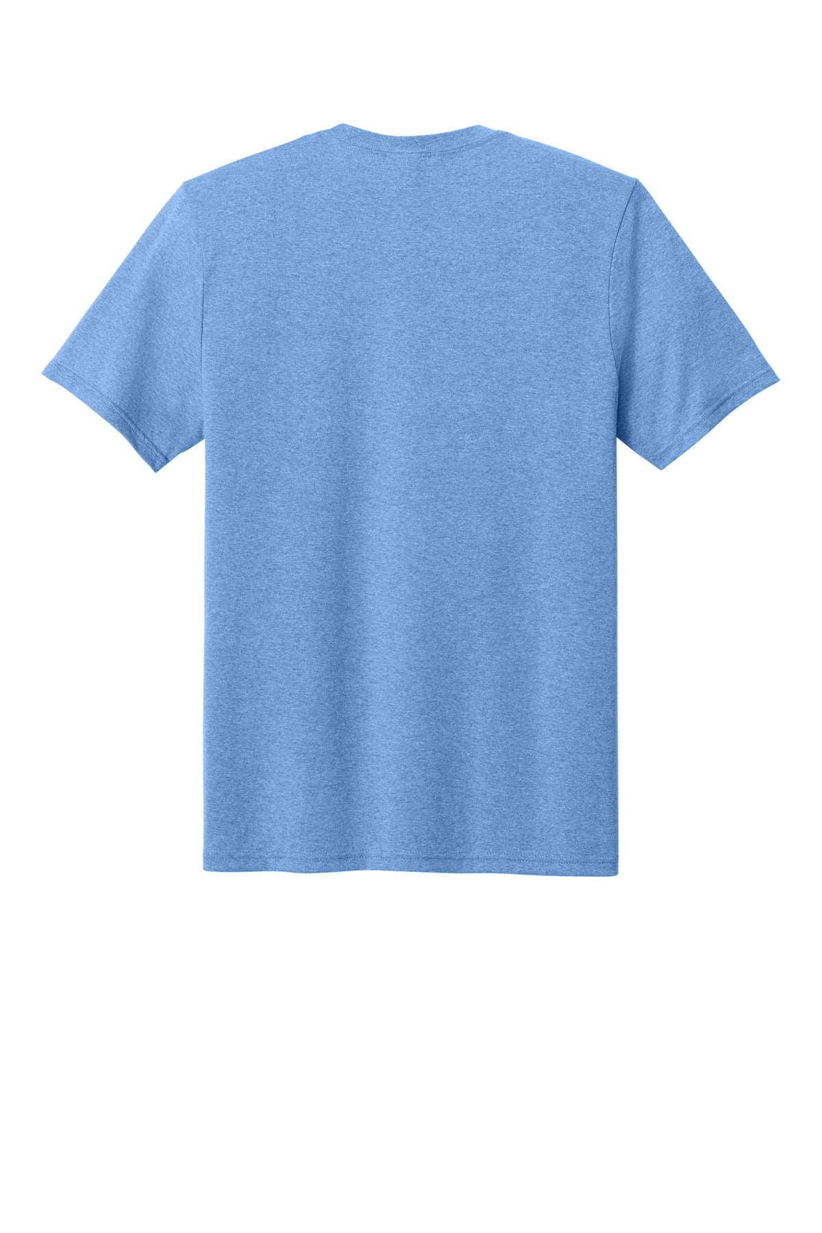 Carolina Blue Heather