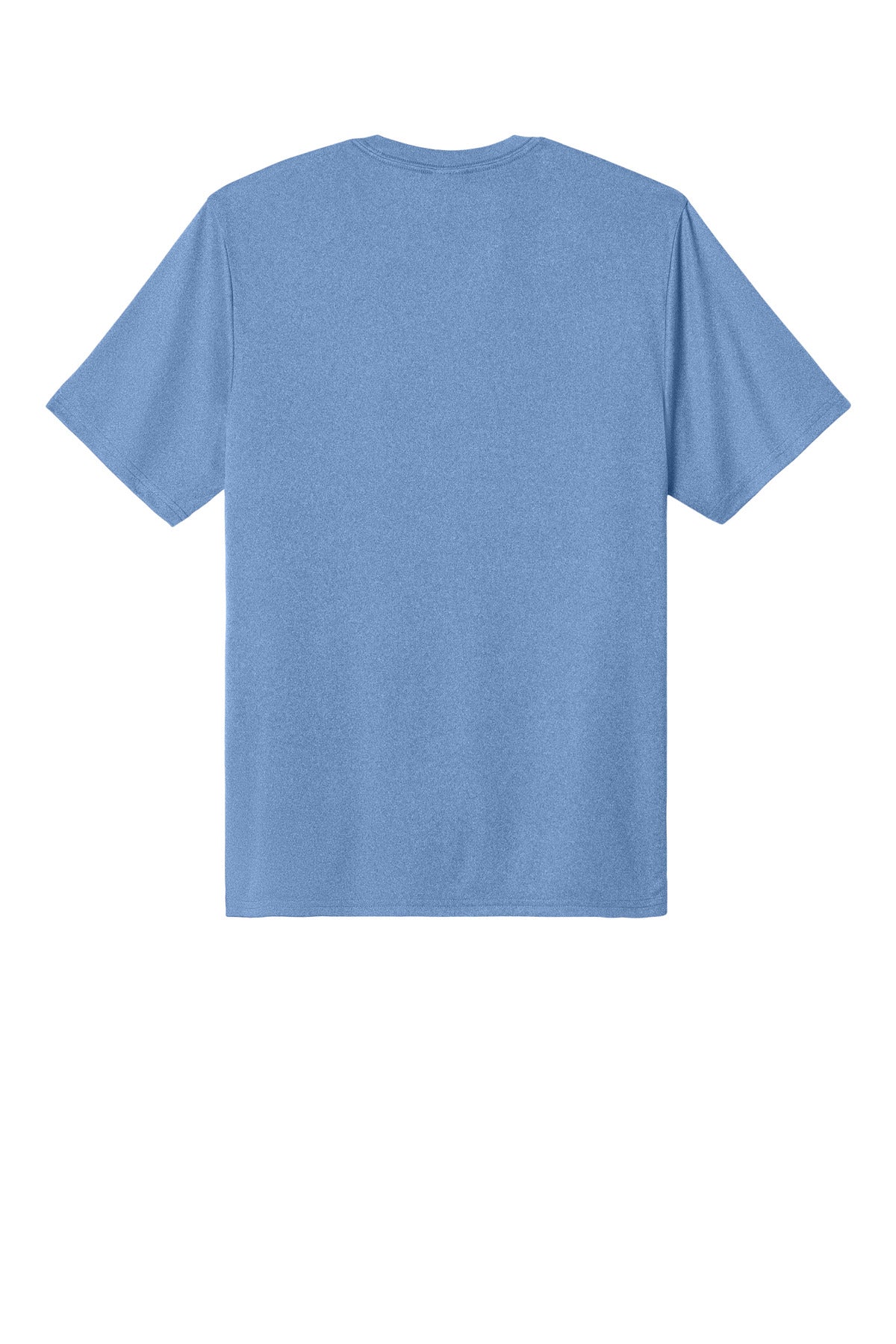 Carolina Blue Heather