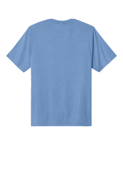 Carolina Blue Heather