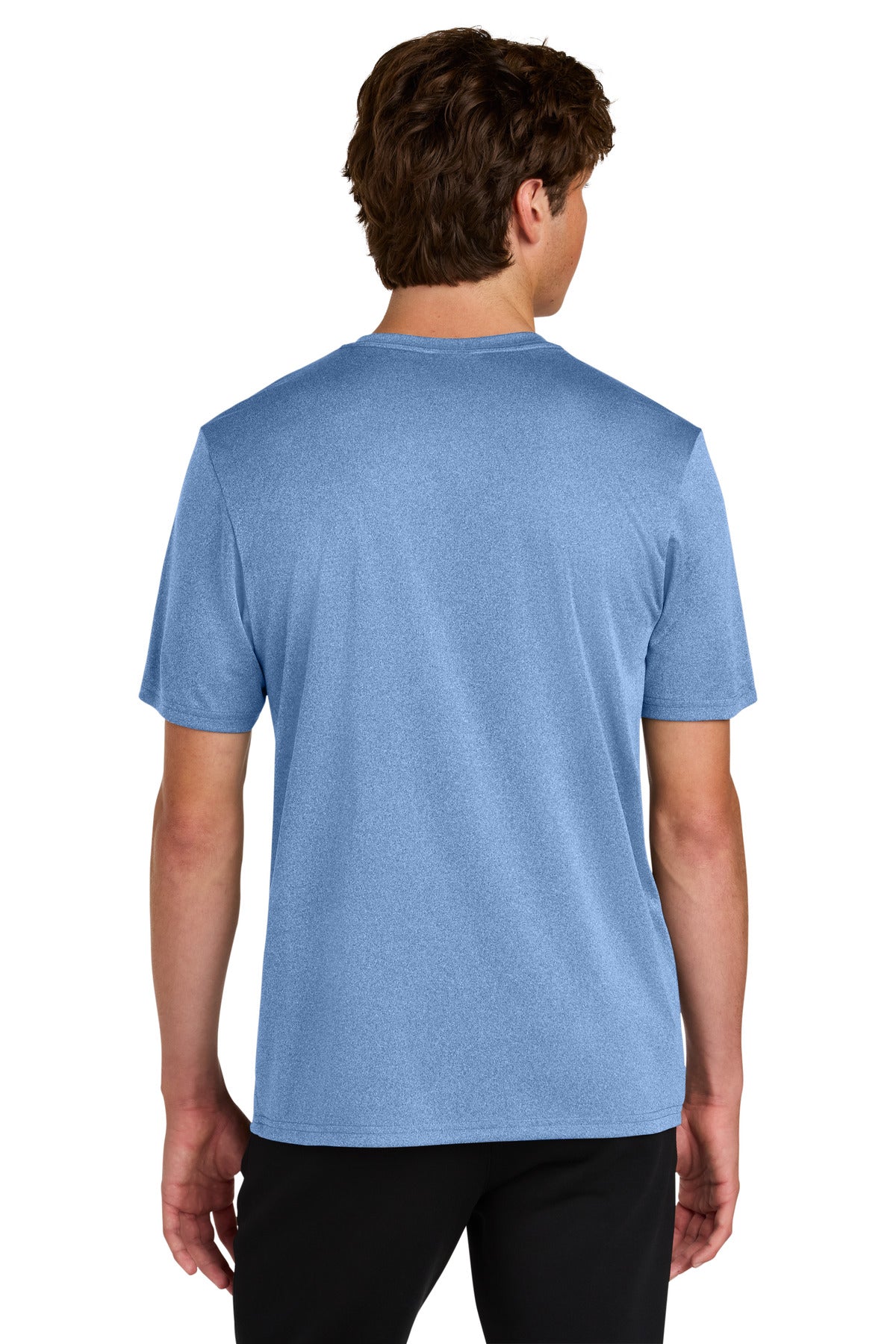 Carolina Blue Heather