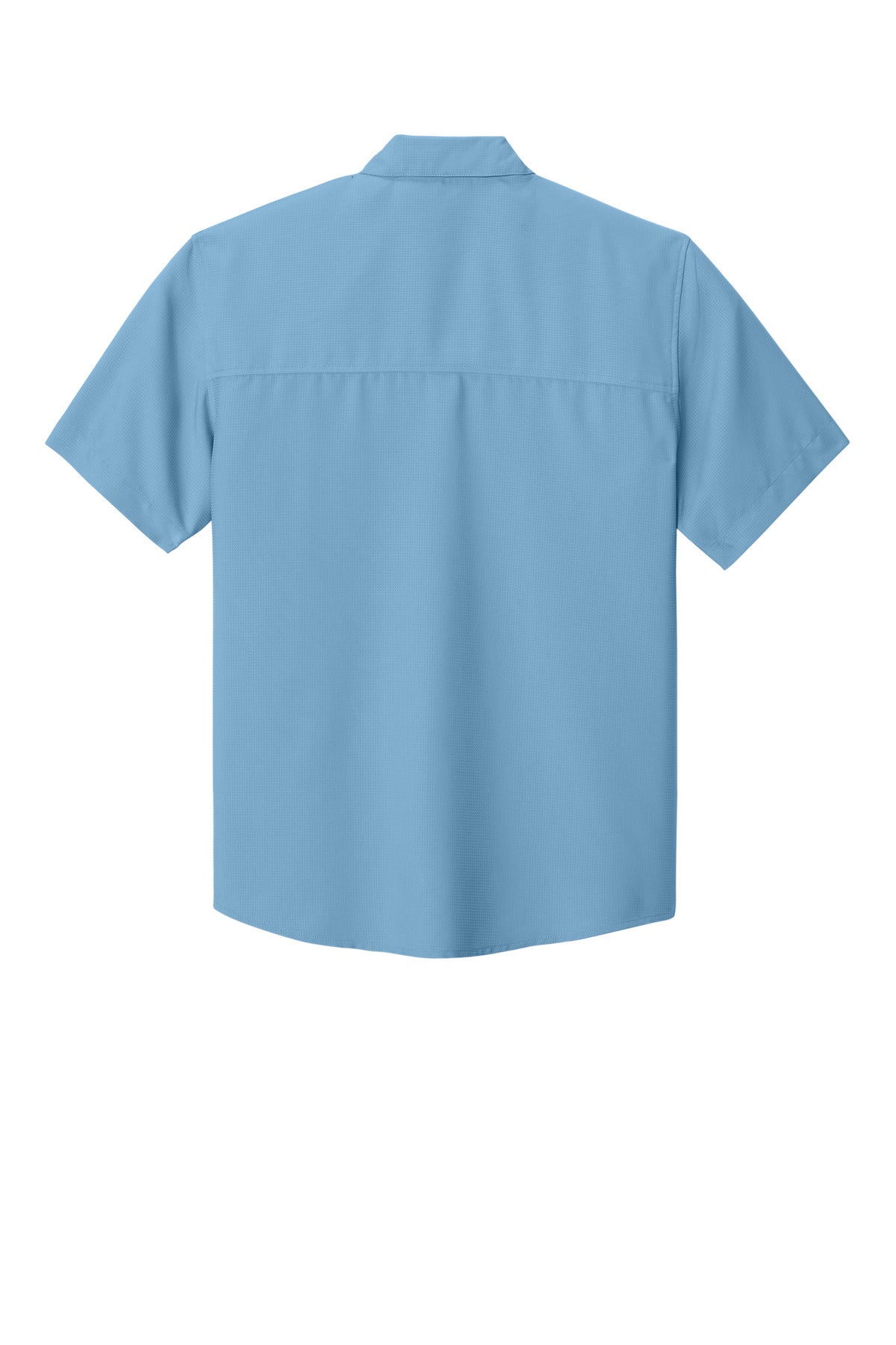 Carolina Blue