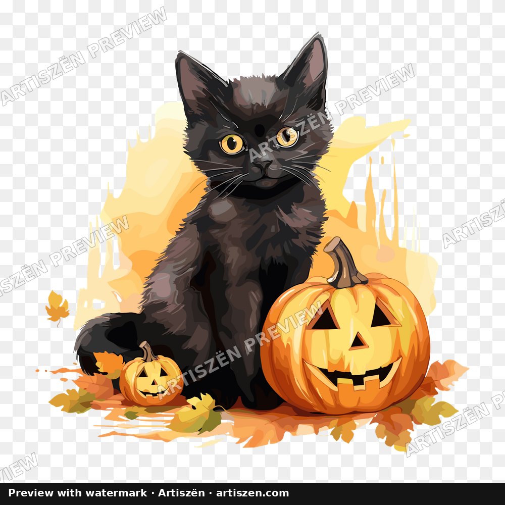 Black Cat Jack-o-Lantern PNG preview